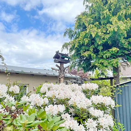 Gartenblick * Lübbenau