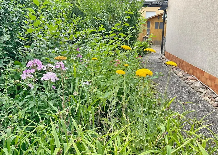 Gartenblick * Lübbenau